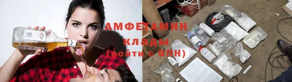 ГАЛЛЮЦИНОГЕННЫЕ ГРИБЫ Надым