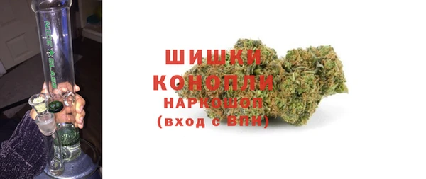 ГАЛЛЮЦИНОГЕННЫЕ ГРИБЫ Надым