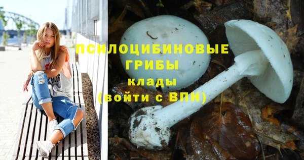 ГАЛЛЮЦИНОГЕННЫЕ ГРИБЫ Надым