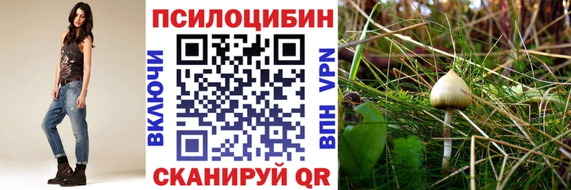 Псилоцибиновые грибы Magic Shrooms  kraken ONION  Шелехов 